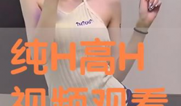 高h视频,揭秘视觉盛宴背后的技术奥秘