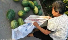 介休吃瓜最新事件爆料,揭秘背后惊人真相