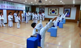 跆拳道视频,从视频中汲取精华